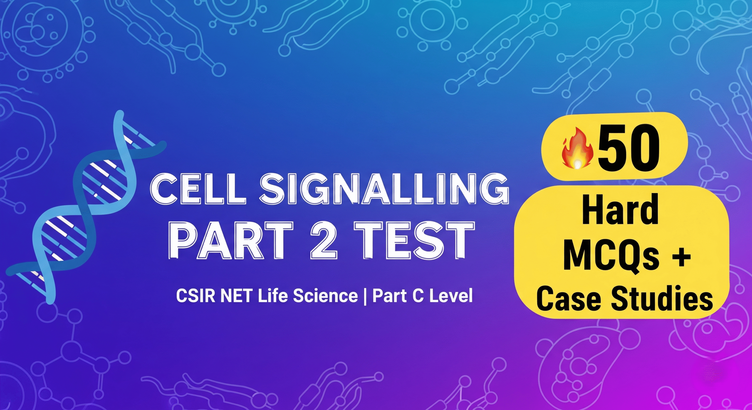cell signalling part 2
