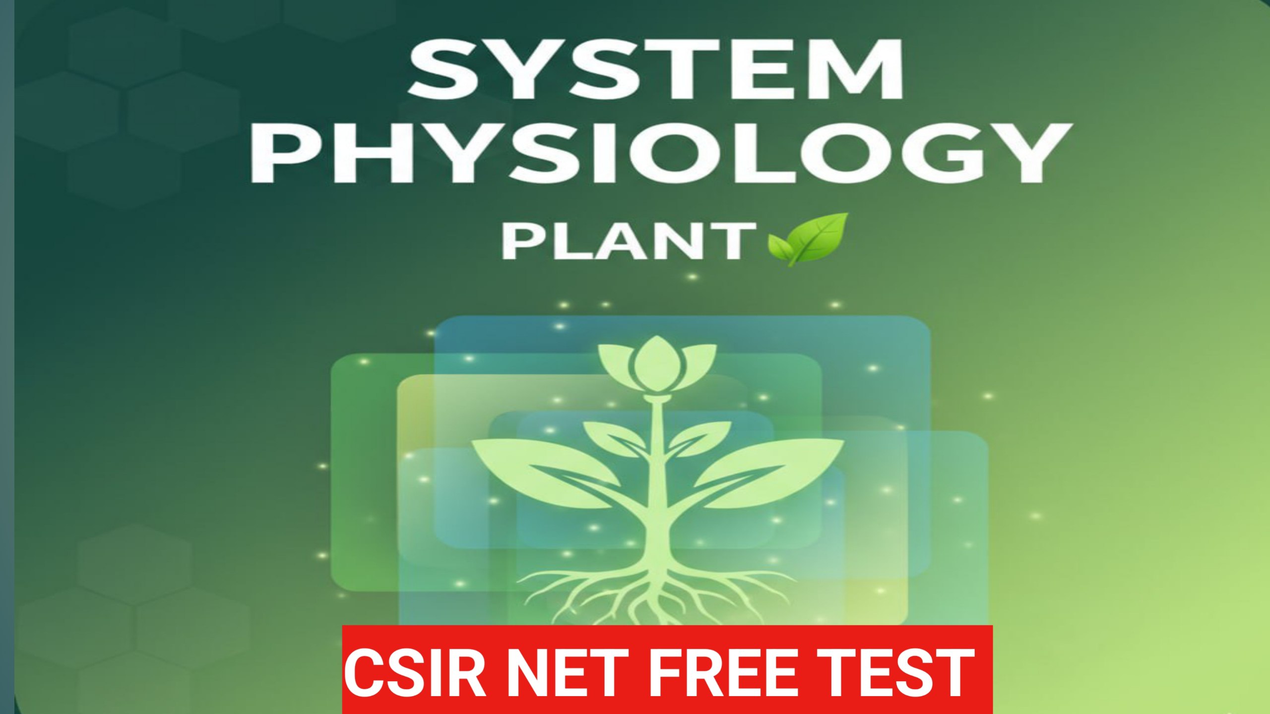 System Physiology – Plant